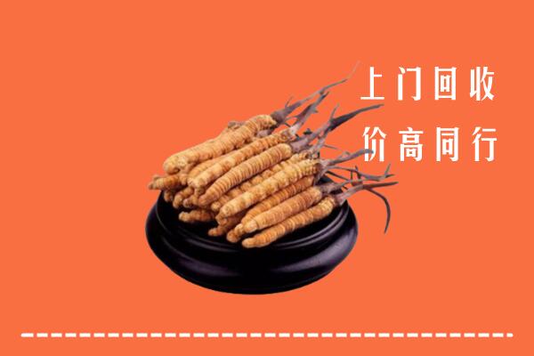 高价求购：增城区回收散虫草