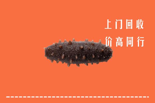 高价求购：增城区回收海参